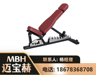 宣城可调哑铃椅